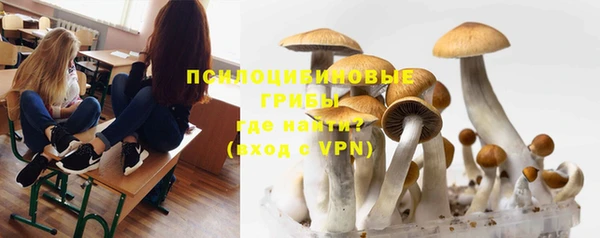 твердый Пересвет