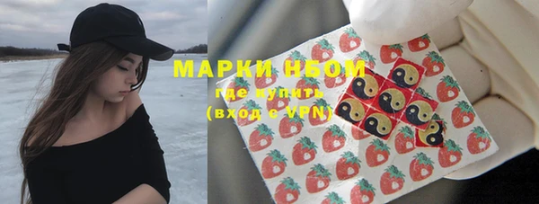 прущие грибы Алзамай