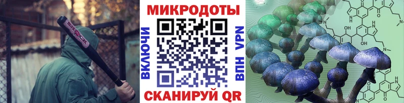 Галлюциногенные грибы мухоморы  Тихвин 